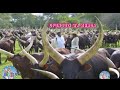 2026 MHOYA NA GANJA FT NYANDA SHINYANGA SONG NG OMBE 0686324041 