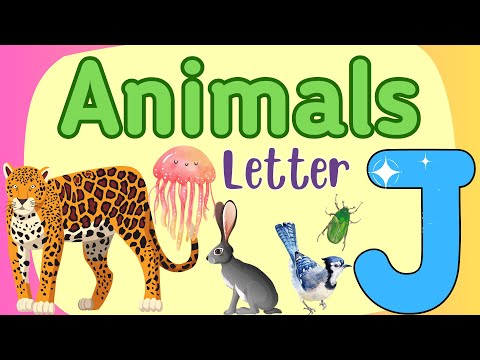 Animals Starting with the Letter "J" | English Vocabulary | Animals with Pictures for Kids #english