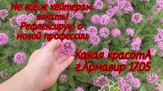 Не надо меня смотреть!Есть куча других блогеров...Живой журнал мини-питомника Какая красотА...17.05