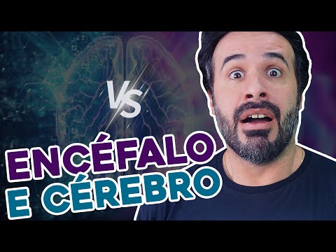 ENCÉFALO E CÉREBRO: