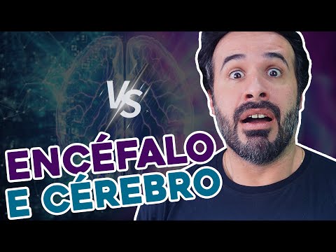 Vídeo: De onde vem o encéfalo?