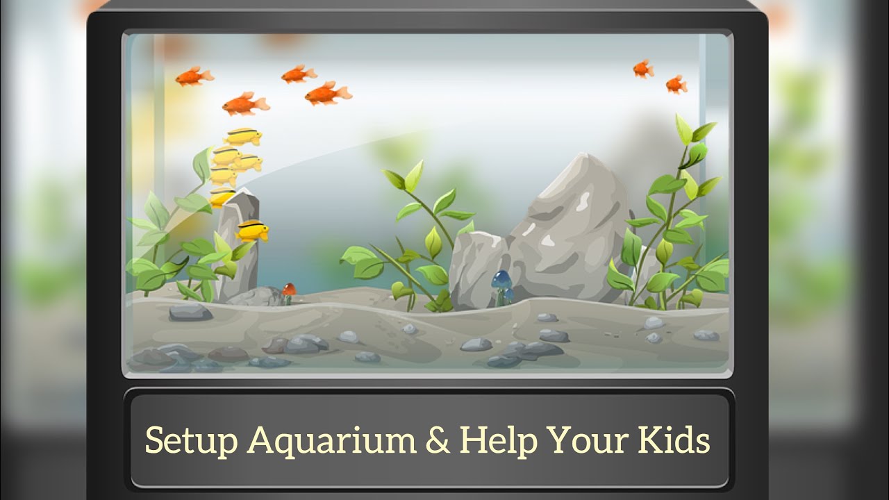 Top benefits of keeping Fish Aquarium at home || Open Ocean - Love Your ...