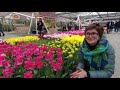 Парк Кёкенхоф (Keukenhof) - 2021. Эксклюзивный видеорепортаж Елены Писаревой