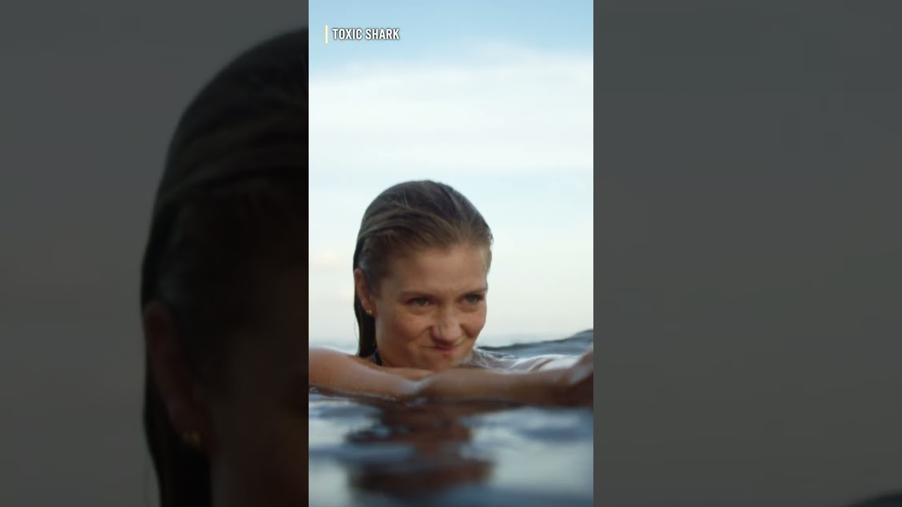 Go Now or Face the Heat! 🚨 TOXIC SHARK | 