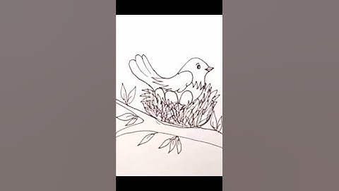 Beautiful Bird Drawing on Tree Branch 🌿 | Easy Pencil Sketch #drawing #artshorts