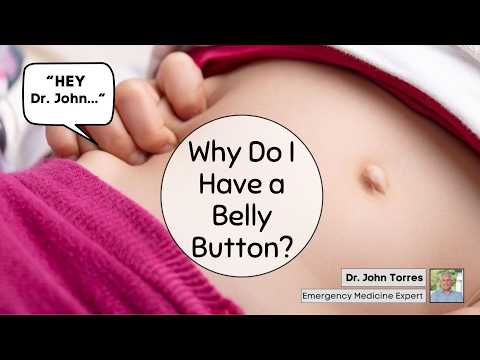 Hey Dr John...Why Do I Have a Belly Button?