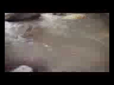 الغياب المر