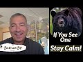 Think Like a Bear: Expert Tips to Stay Safe in the Wild