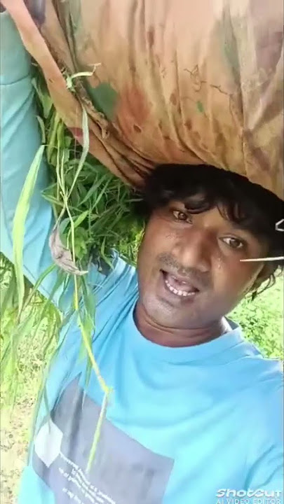 bakslsl alwla #trending #shortsfeed #farming