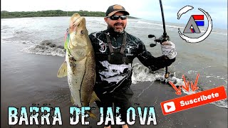 Pesca de Robalo en Costa Rica barra de Jalova