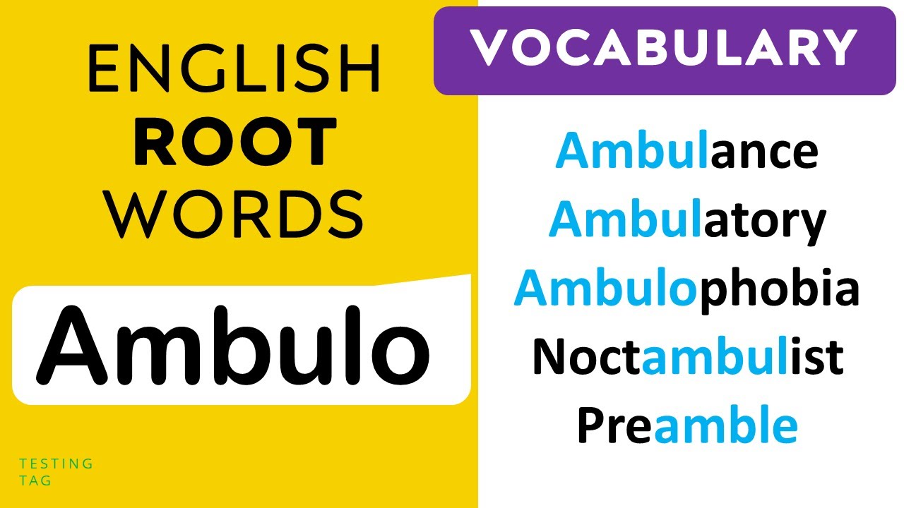 Root Word: AMBULO 🚶‍♂️ -- 13 different Words from the Root ‘Ambulo ...
