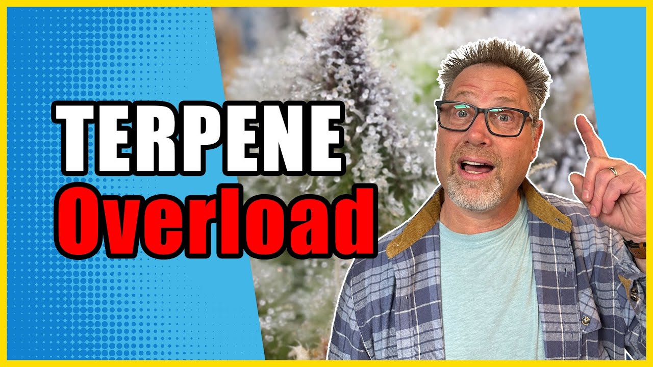 Pro Cannabis Growers do THIS for Great-Tasting, Dank Harvests Every Time