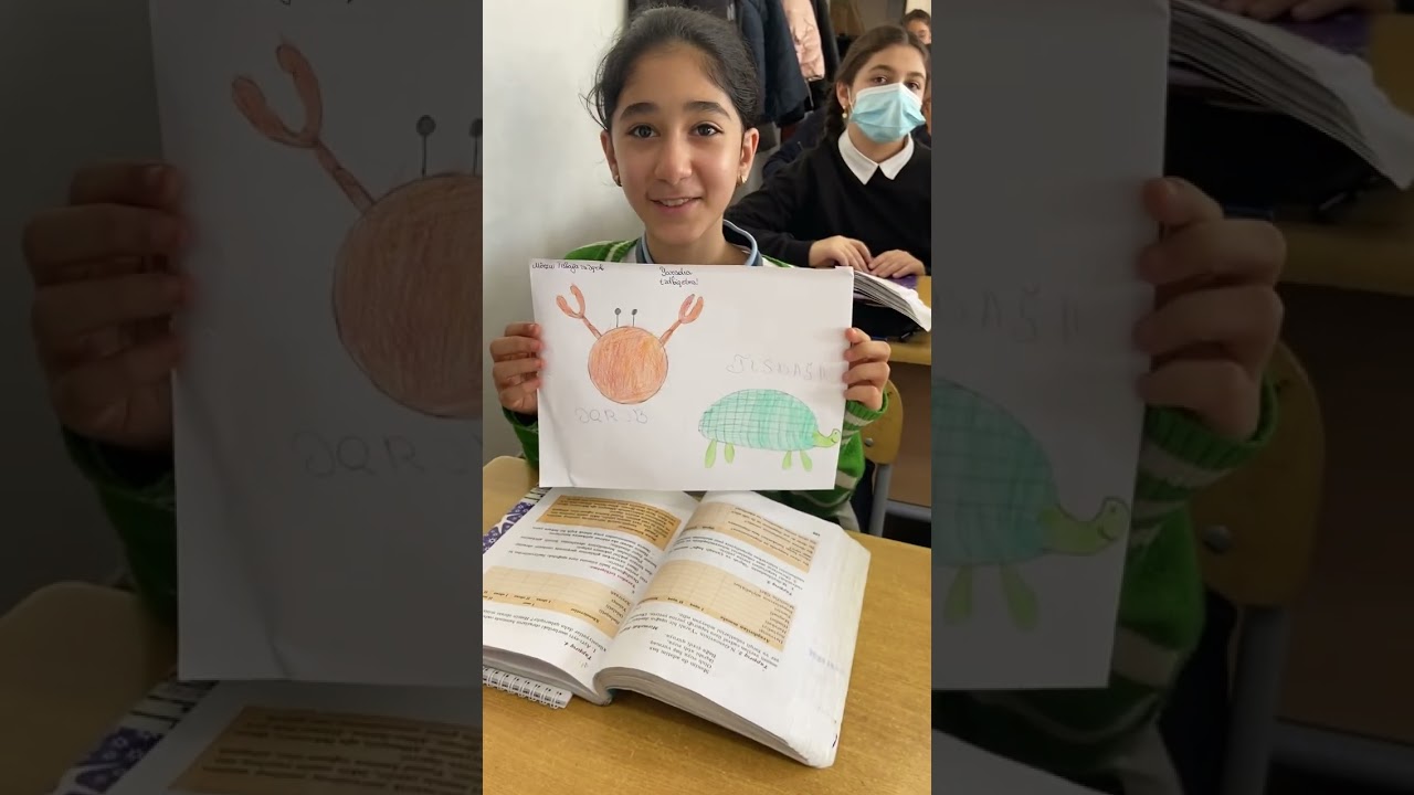 Yaradıcı tətbiqetmə - Ədəbiyyat dərsi - 6 F