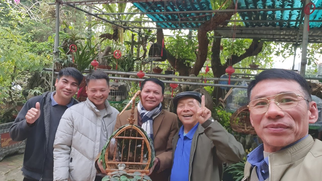 ##Giao lưu chim cu gáy giải nhất Miền Bắc Việt Nam  -##Hiệp Cu gáy Hiệp -Hiệp  Hòa Bắc Giang ..!