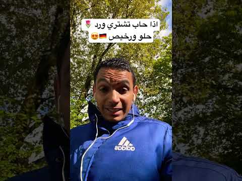 اذا تشتري ورد في ألماني ا حلو ورخيص ورد وردة البيت ألمانيا نصائح المانيا يومياتي