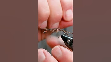 Devin Olsen talks about his Straggle Stone nymph