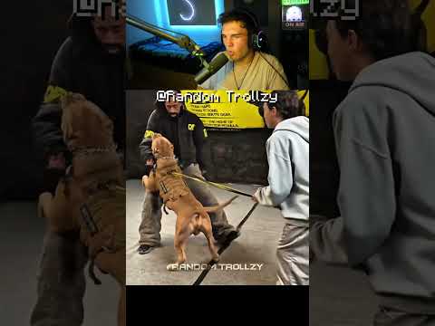 ANDERE MIT HUND VS DER LETZTE?!!...🤨 (Reaktion) #minecraftshorts