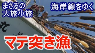 海岸線をゆく!マテ突き漁 に密着