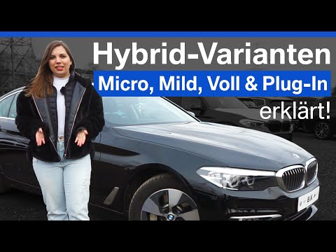 Video: Wie Erstelle Ich Einen Hybrid?