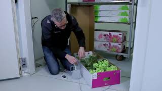 Improve your storage performance and increase shelf life (fruit, vegetables, flowers)