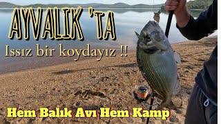 AYVALIK'TA ISSIZ BİR KOYDAYIZ..Hem balık avı hem kamp. #surfcasting #balık avı #ayvalık #şenlik koyu