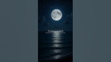 #قران_كريم #راحة_نفسية #تلاوة_هادئة اكتب شي تؤجر عليه