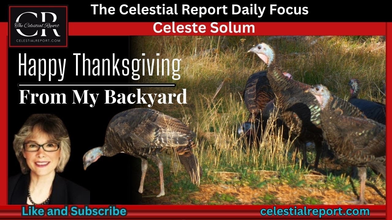 Have a Blessed Thanksgiving from Celeste Solum - YouTube