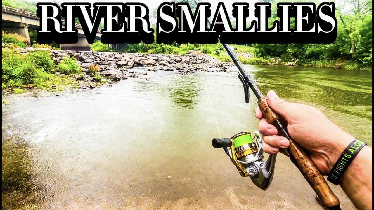 Smallmouth Bass Fishing in a PRESSURED River!