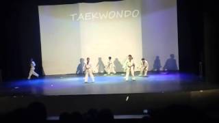 20160421 Demo & Poomsae Dance UKM TaeKwonDo UNESA