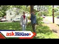 Pruning a Crabapple Tree | Ask This Old House