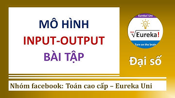 Đại số 3.2.2 Bài tập mô hình Input Output _ Ứng dụng trong Kinh tế