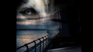 Watch Axel Rudi Pell Run With The Wind video