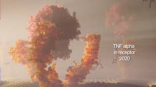 Moving Medical Media - 3D Evolution 2005 - 2020