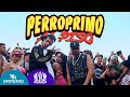 @Perro Primo , L-Gante, @DT.Bilardo  - PPT (Patita Pa Tra) - Perro Primo Al Piso - #1 -  Cumbia 420