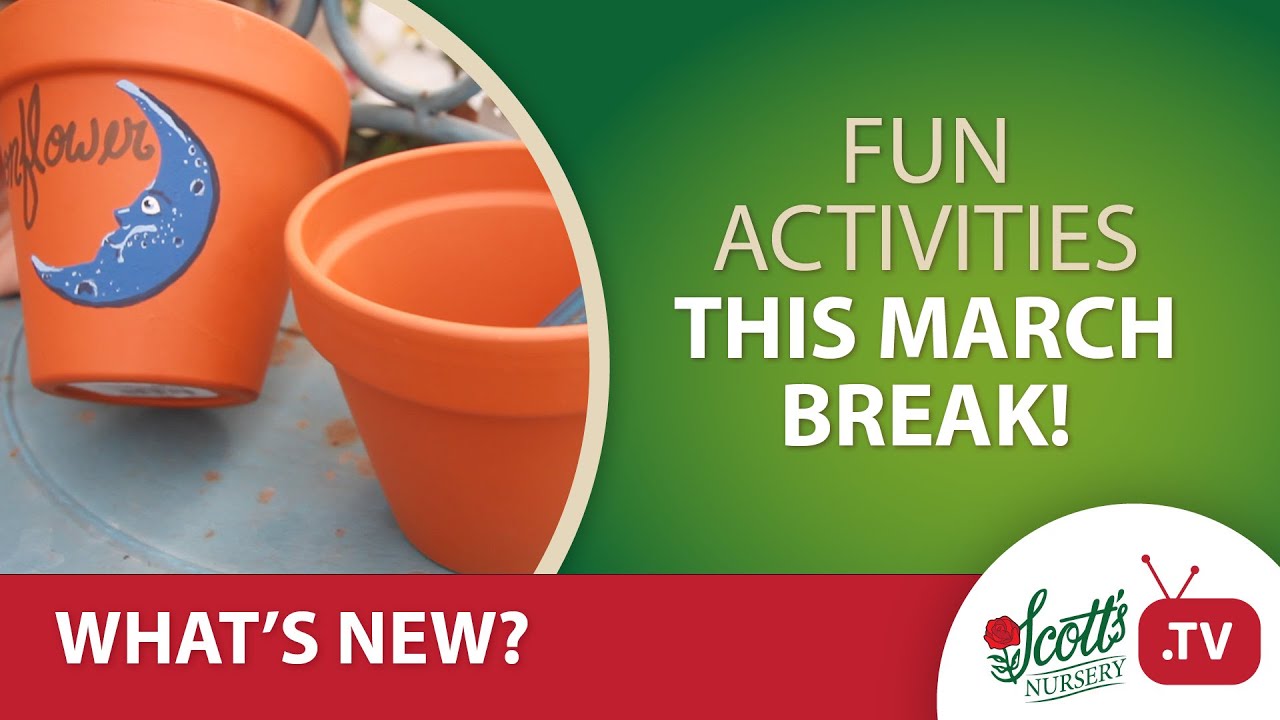 Fun activities with your kids this March! YouTube