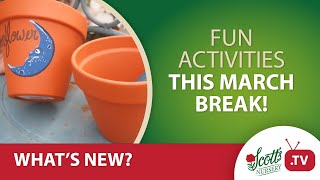 Fun activities with your kids this March!