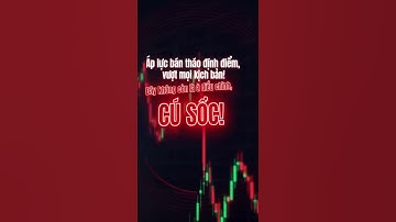 Phiên 20 tháng 10 đi vào LỊCH SỬ VNINDEX | Đây là CÚ SỐC thị trường đang trải qua CƠN ĐỊA CHẤN