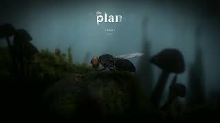 fly.mp4