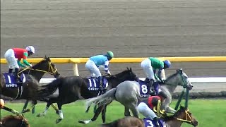 ヴィクトリアマイル 1着ヴィルシーナ号（内田博幸騎手）（個人