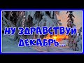 &quot;Ну здравствуй, декабрь! Мы тебя ждали... Здравствуй, зимушка-зима!&quot;