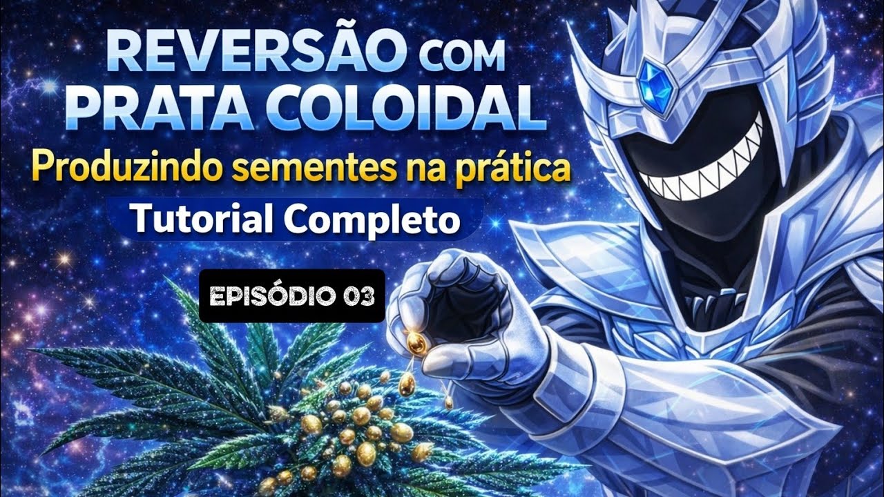 REVERSÃO COM PRATA COLOIDAL: Como Produzir Sementes Feminizadas (Parte 2)
