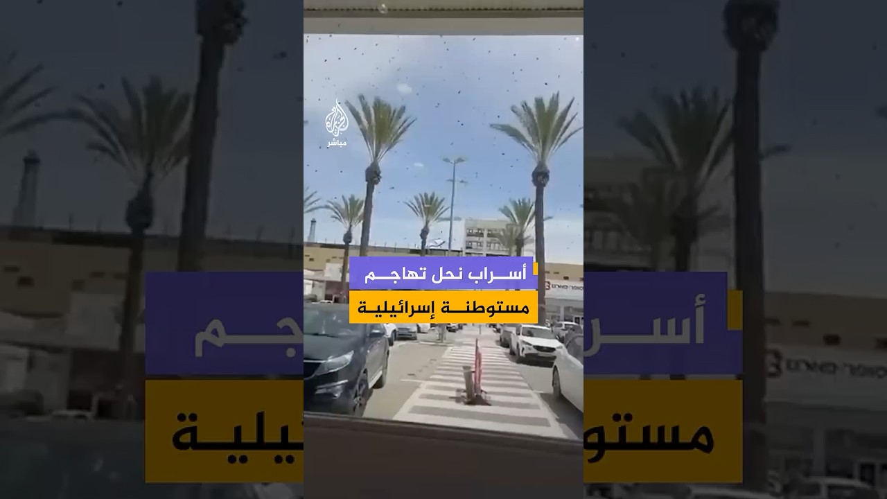 أسراب نحل تجتاح منطقة المركز التجاري في مستوطنة نتيفوت جنوبي إسرائيل