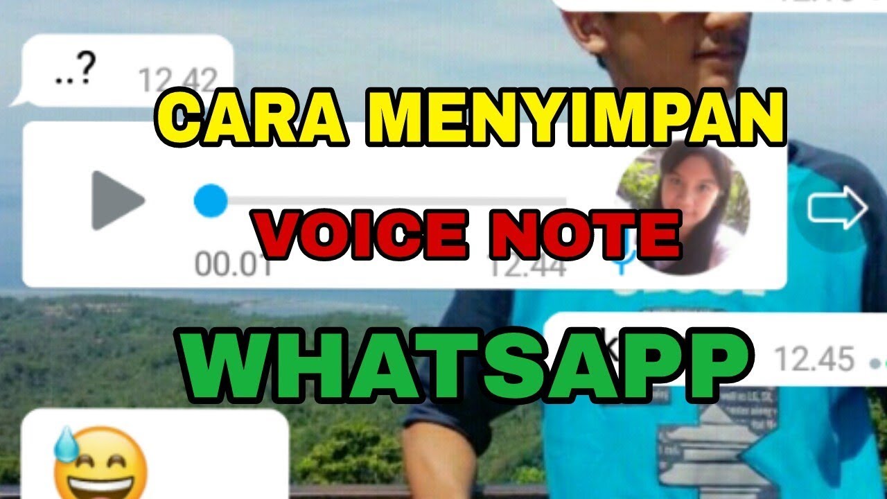Cara Menyimpan Voice Note WhatsApp