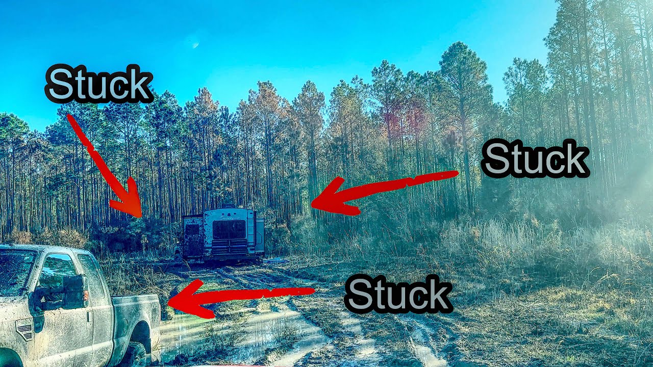 Who would do this???