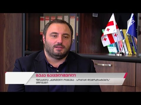 კონსტიტუციის 94-ე მუხლთან დაკავშირებით კანონმდებლებისა და სპეციალისტების აზრი ორად იყოფა