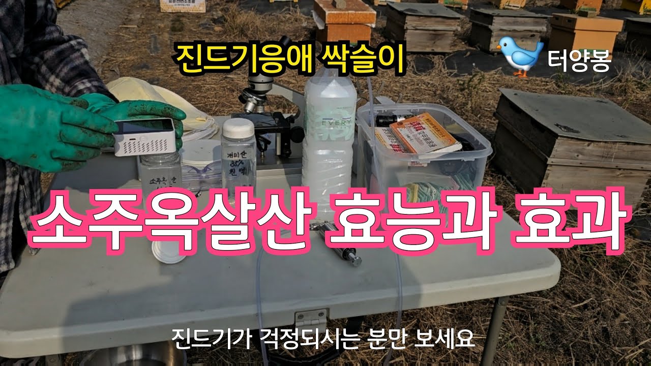 내성없는 친환경 소주옥살산 총정리/개미산85%&소주옥살산 측정기분석/확인내검 #bee #beekeeping #automobile
