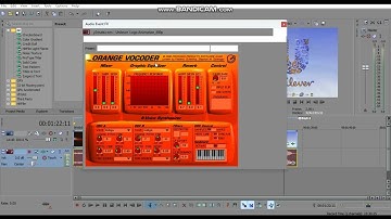 How to Make Orange Effect on VEGAS Pro