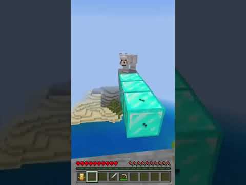 Why You Should Always Help a Dog in Need 😎#minecraft #shorts