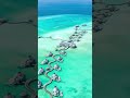 Ilhas maldivas um paraso na terra shorts
