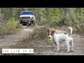 Van Life in BC Canada - Spring in the Rockies